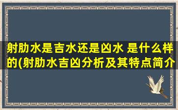 射肋水是吉水还是凶水 是什么样的(射肋水吉凶分析及其特点简介，了解避凶求吉的秘诀！)